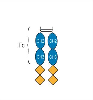 Experimental Validation Results for Trebananib